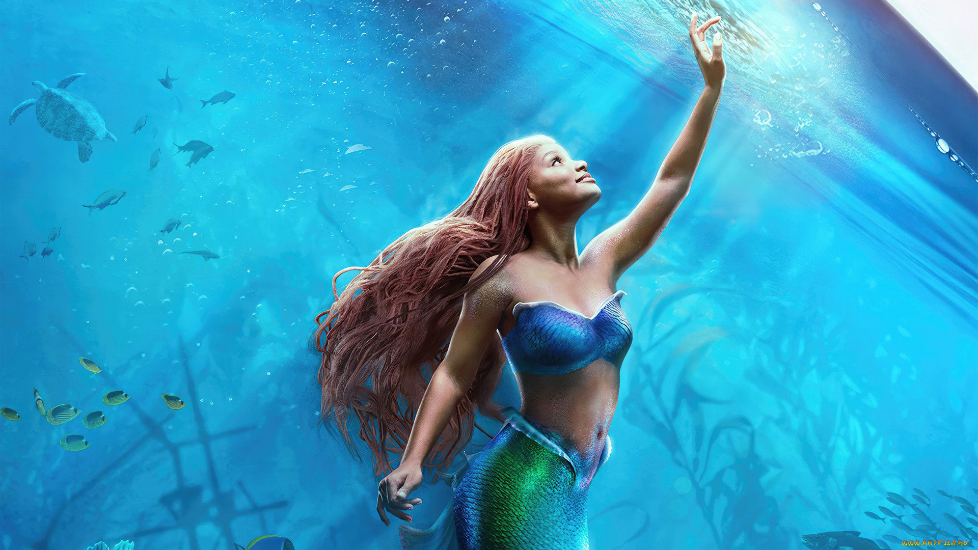 the little mermaid ,  2023 ,  , the little mermaid, , , , , , , halle, bailey, ariel